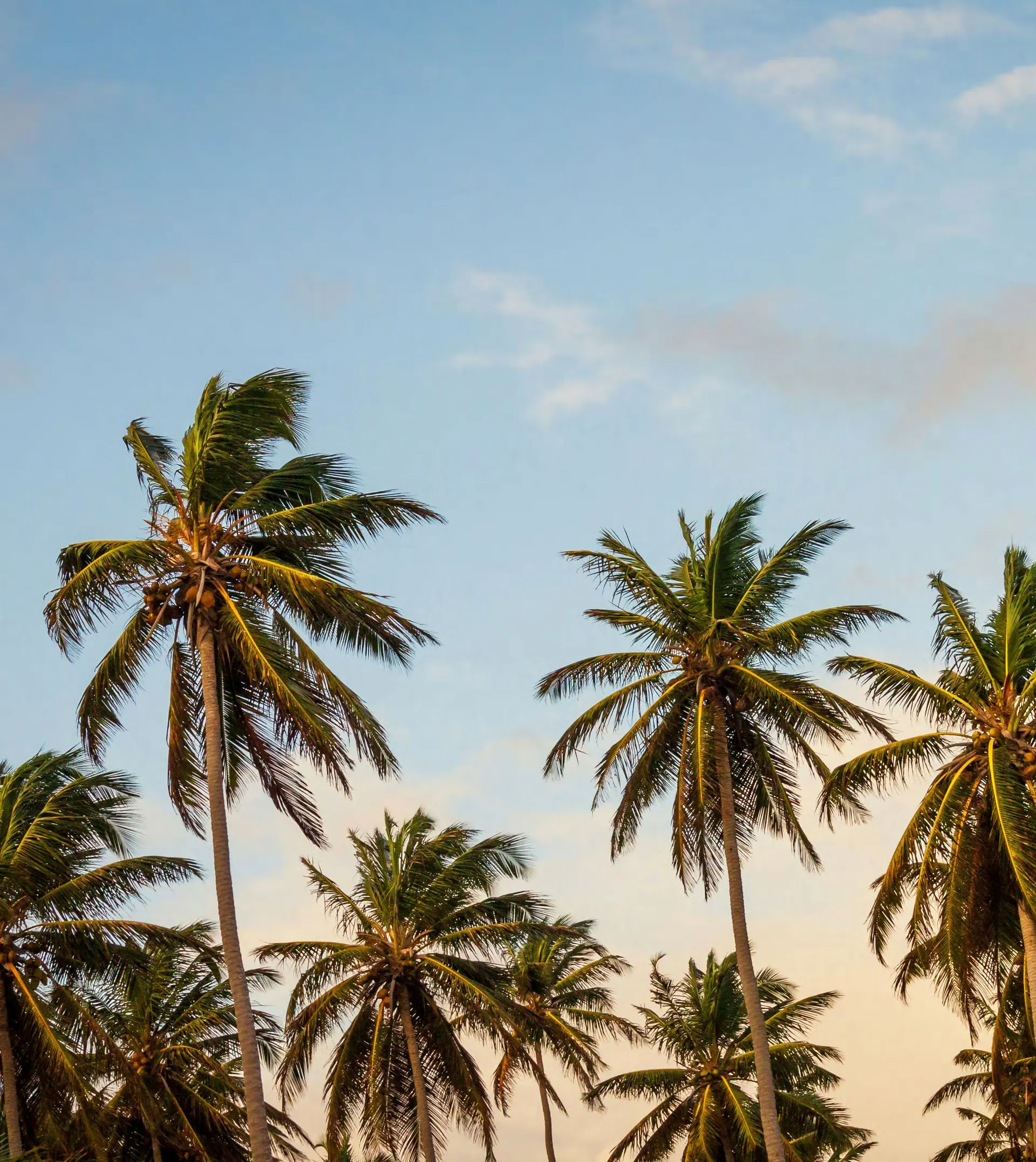 Fairmont Residences Al Marjan Island - Exclusive Beachfront Property Investment Opportunity